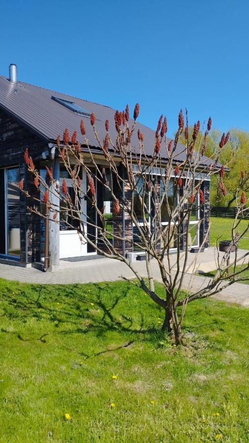 Add Story Guest House Rēzekne Dış mekan fotoğraf